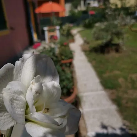Casa Vacanze Giorgio بيت للعطل *